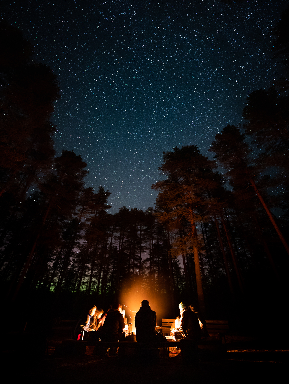 Night Photography in North Karelia Biosphere Reserve - SHAPE